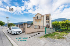 Apartment Vladimir